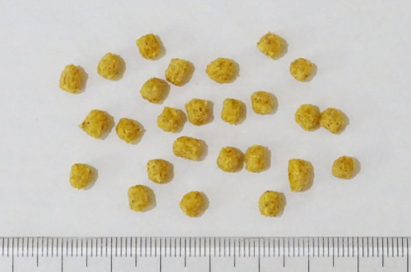 画像3: 賞味期限:2026/11/3【ズプリーム】ナチュラル プレミアムダイエット Ｍオカメインコ(2.5#/1.1kg) (3)