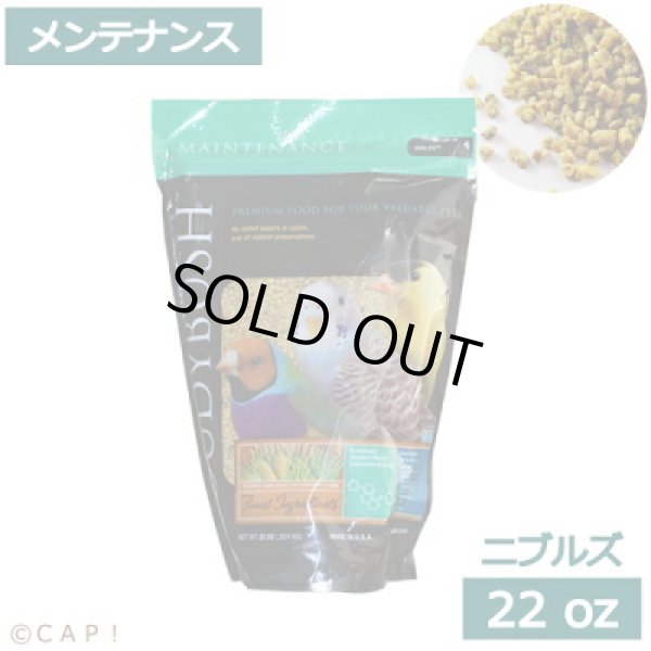 画像1: 賞味期限:2026/11/6【ラウディブッシュ】メンテナンス ニブルズ 22oz(624g) (1)