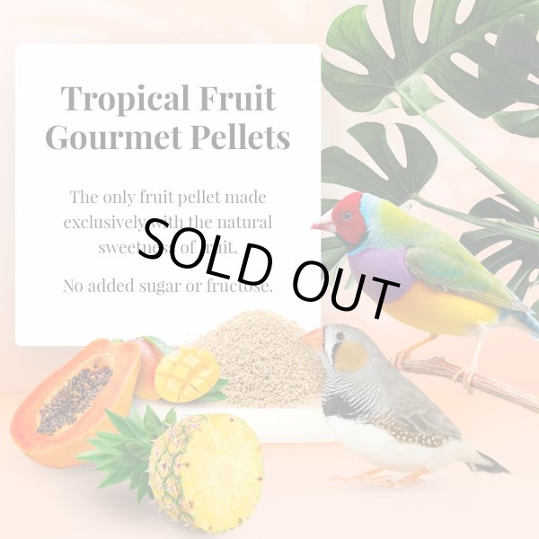 画像3: 賞味期限:2026/11/21【ラフィーバ】 グルメペレット フィンチ 1#(453g) (3)