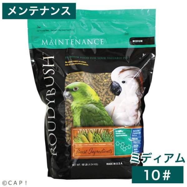 画像1: 賞味期限:2027/1/23【ラウディブッシュ】メンテナンス ミディアム 10#(4.54kg) (1)