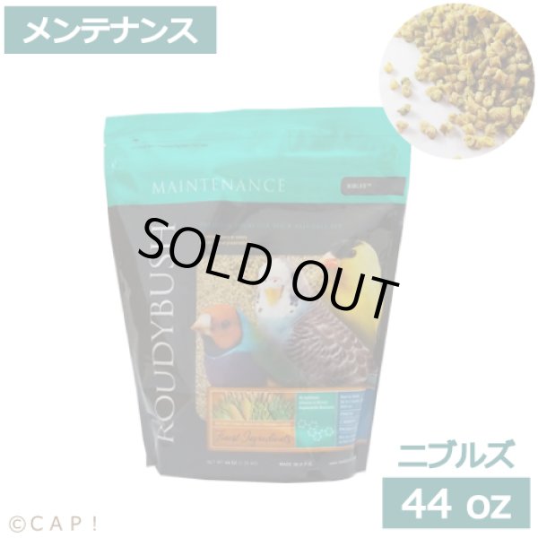 賞味期限：2025/9/14【ラウディブッシュ】メンテナンス ニブルズ 44oz