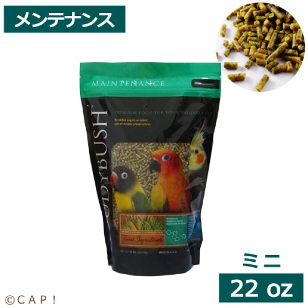 画像1: 賞味期限:2026/12/12【ラウディブッシュ】メンテナンス ミニ 22oz(624g) (1)