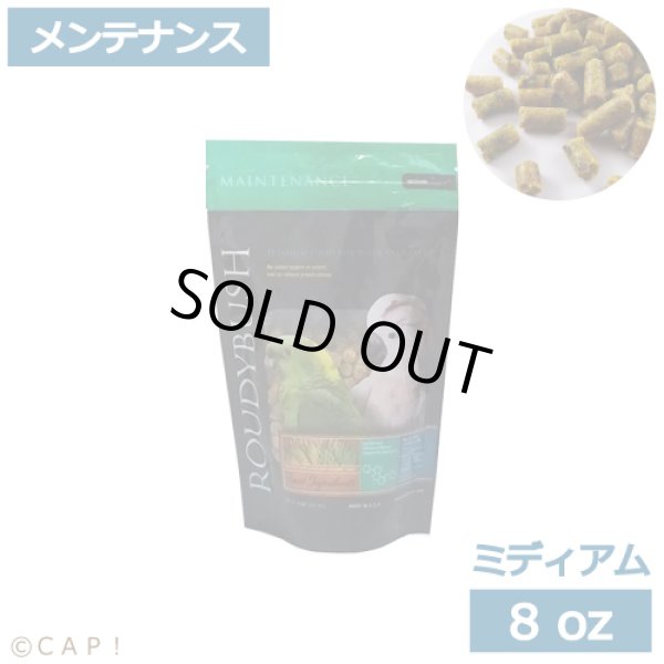 画像1: 賞味期限:2026/2/28【ラウディブッシュ】メンテナンス ミディアム 8oz(227g) (1)