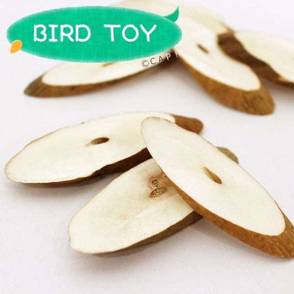 画像1: 【Parts】Sola Chips (100個入) (1)