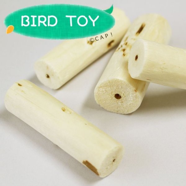 画像1: 【Parts】Sola Stems (30本入) (1)