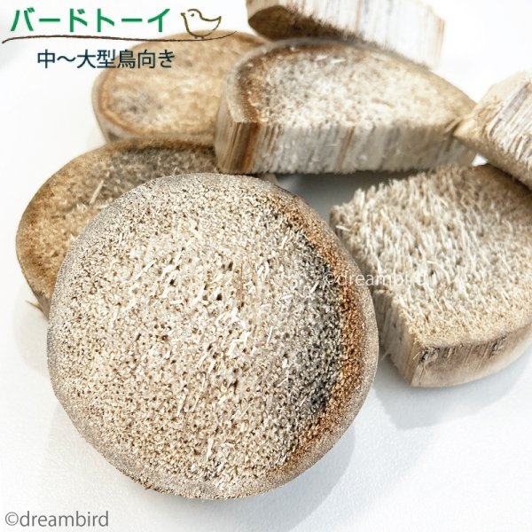 画像1: ユッカパロットチップス (1)