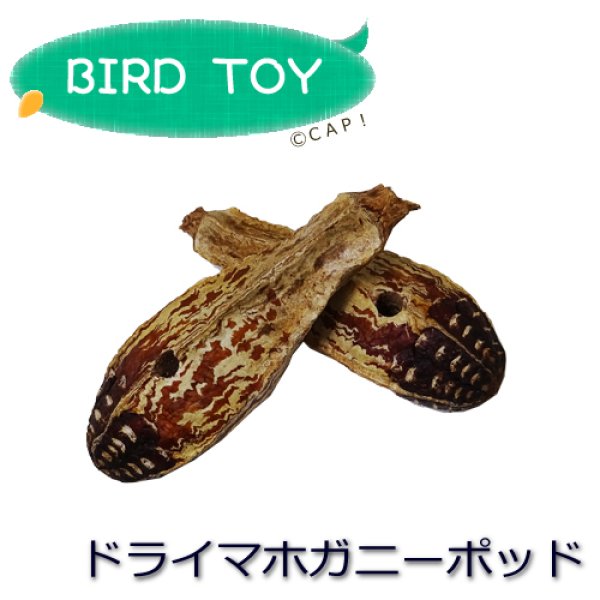画像1: 【Parts】Mahogany Pod(10個入) ※ポッド※ (1)