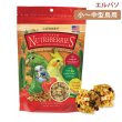 画像1: 近日入荷予定！賞味期限 ラフィーバー エルパソ スモールバード10oz/284g  (1)