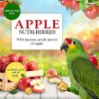 画像3: 近日入荷予定！賞味期限 ラフィーバー アップル ニュートリベリー パロット 10oz [89008] (3)