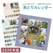 画像1: 【2026年版】365days... 鳥どりカレンダー ＜壁掛け＞ (1)